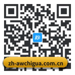 安卓抗崩溃专版 二维码